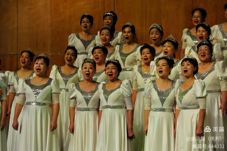 2024年11月23 鹏城金秋市民文化节合唱决赛 深圳金凤凰女子合唱团